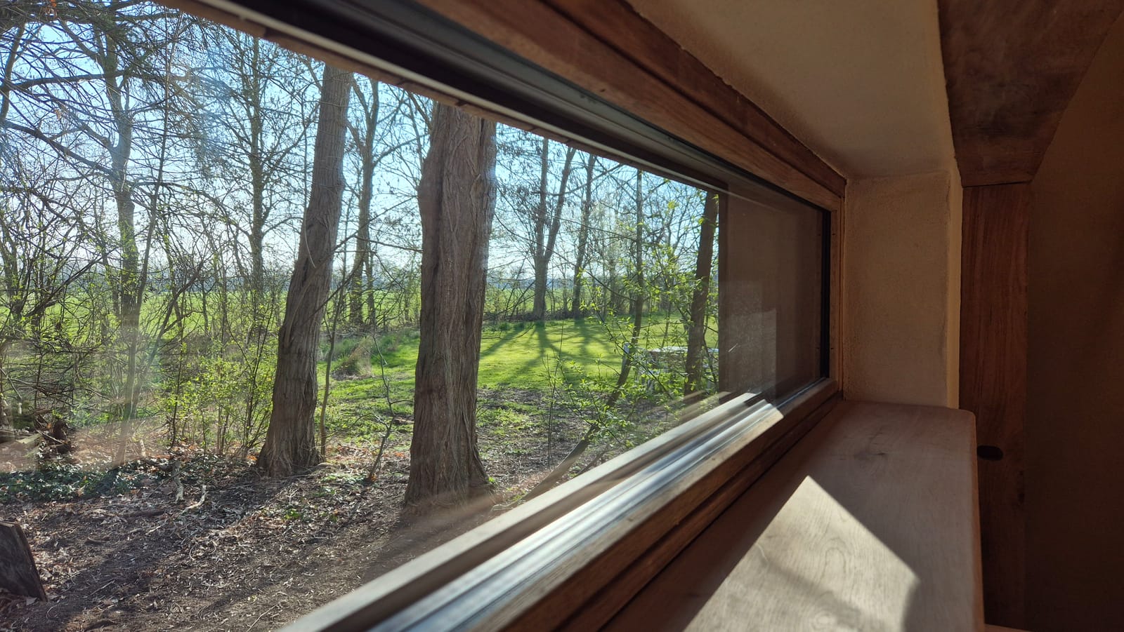 Uitzicht vanuit het huisje op het bos