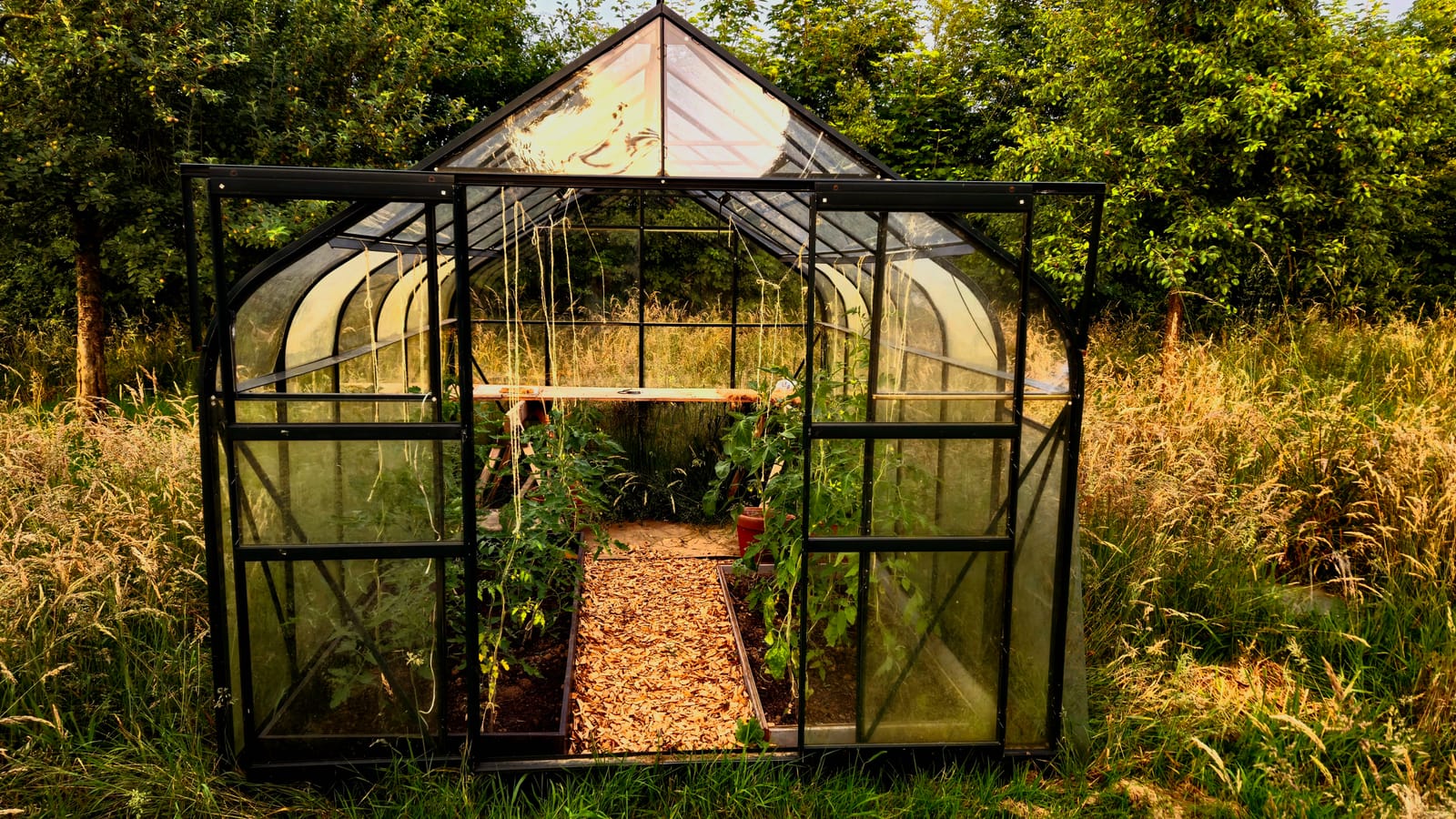 Kas in het voedselbos